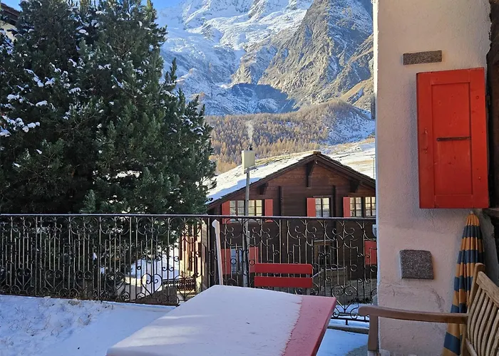 Le Camee * 萨斯费