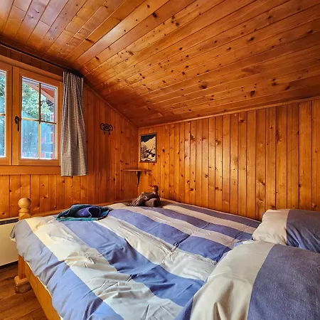 Chalet Le Camée Saas Fee